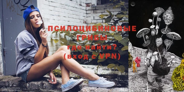 a pvp Костерёво