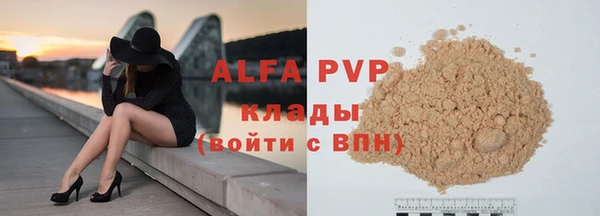 стаф Болотное