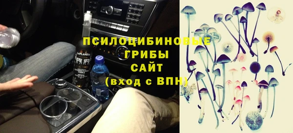 таблы Краснослободск