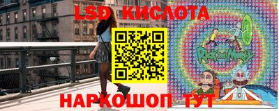PSILOCYBIN Канаш